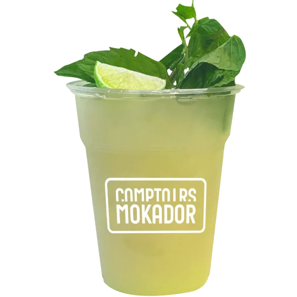 JUS CITRON MENTHE